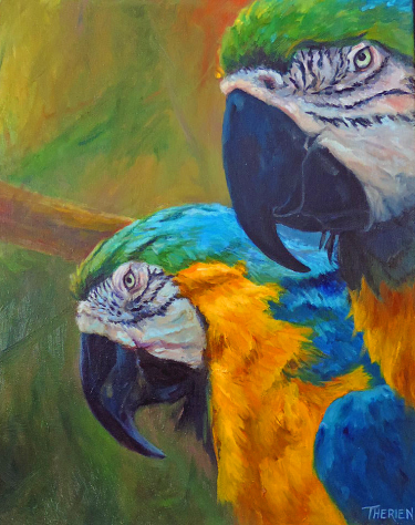 Parrot Couple - Palm Beach